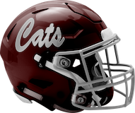 Mechanicsburg Wildcats logo